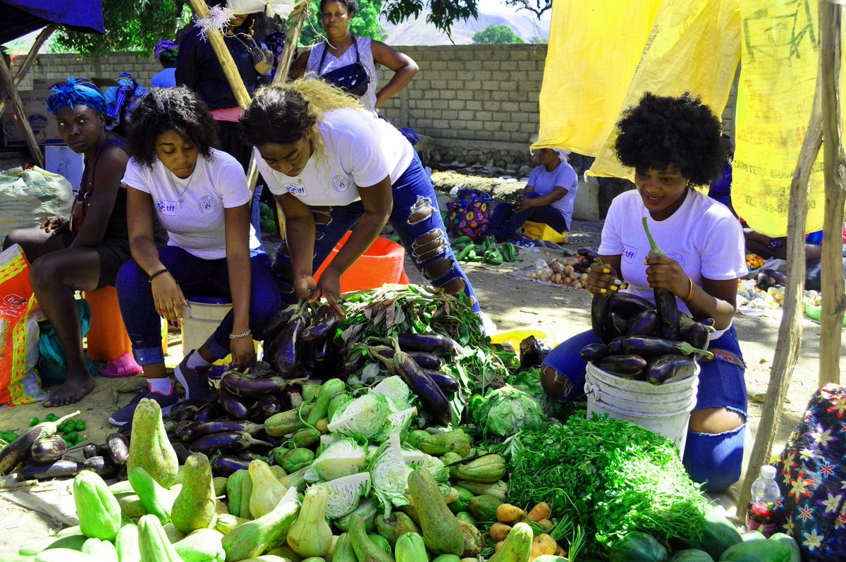 EDUCATE consumers about sustainable food in Haiti @thinkingforfood  #tffglobalawarenessweeks
#tffglobalcommunity
#agriculture 
#foodtech
#foodsystems