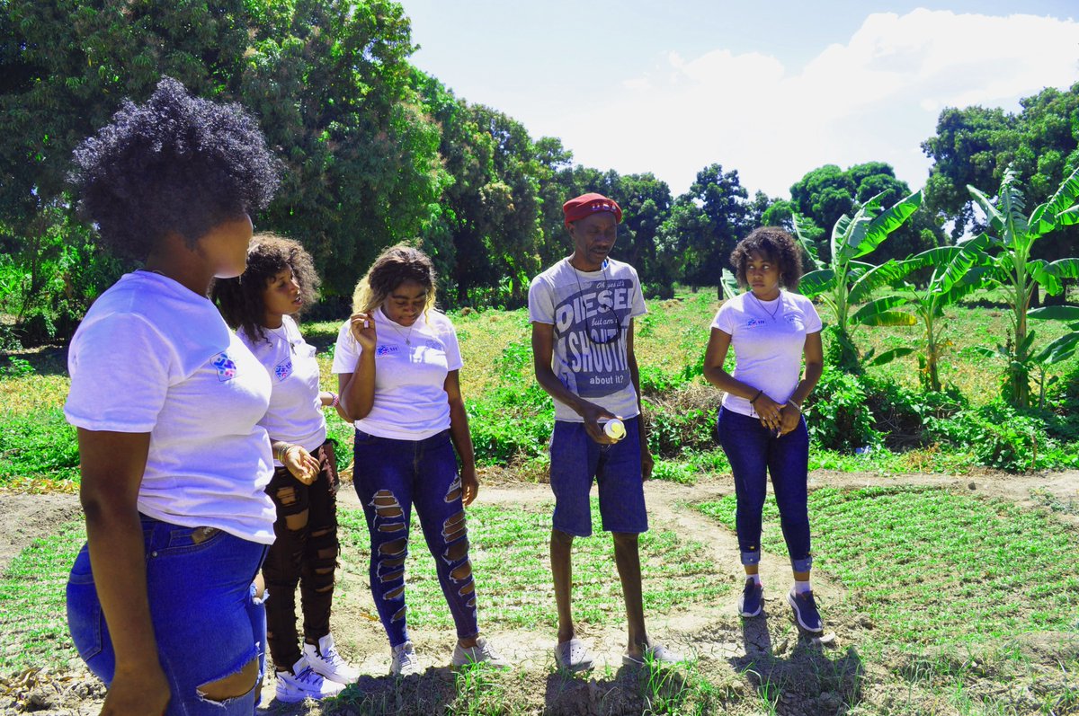 Visit to farmers in Haiti
Join me for my activity @thinkingforfood #tffglobalawarenessweeks
#tffglobalcommunity
#agriculture
#foodtech
#foodsystems