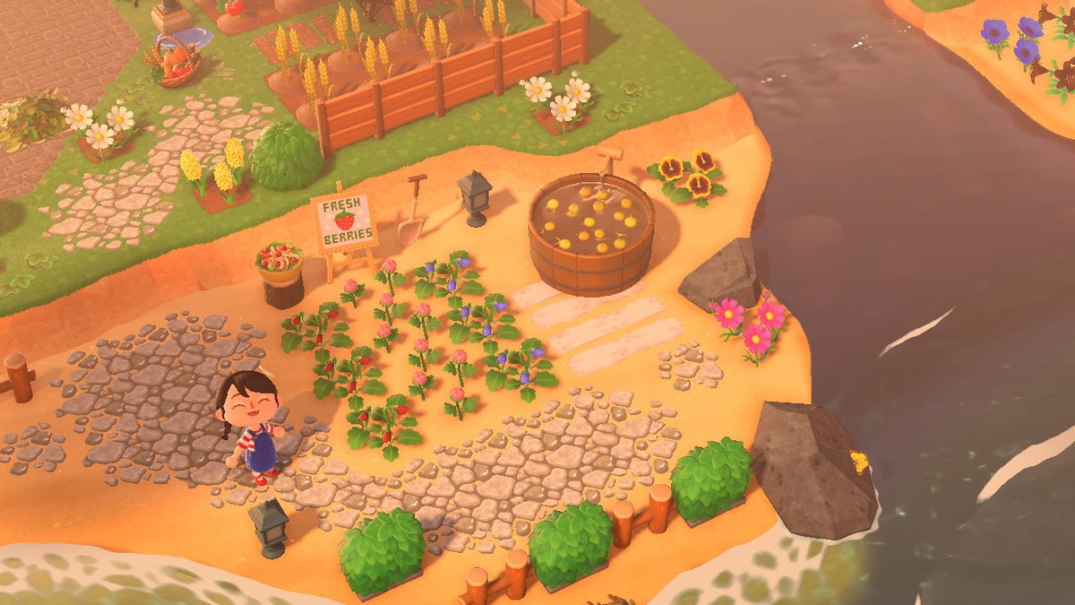 CreationsBarbs's tweet photo. made a mini berry beach farm <3 #AnimalCrossing #ACNH #NintendoSwitch https://t.co/X6fSkYVfxY