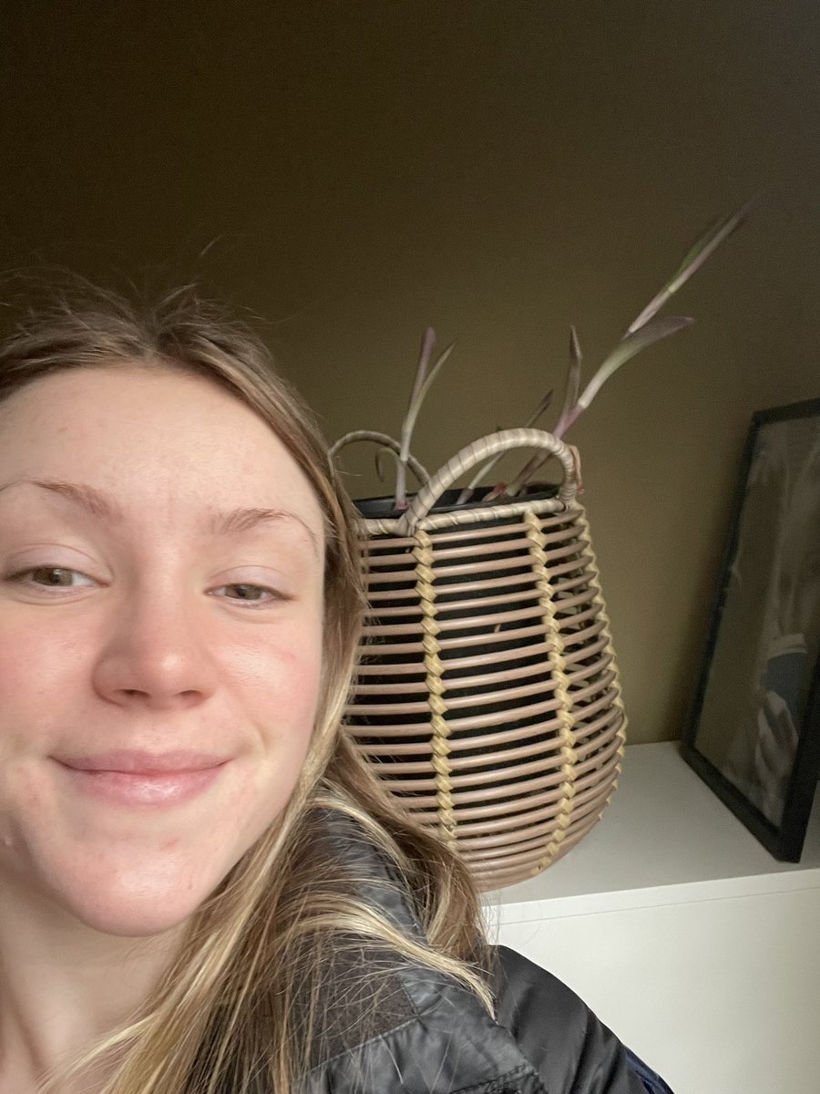 ryanwagner260's tweet photo. #drfoxcall #plant200call #plant200week6 My Tradescantia Purple Heart plant is growing towards the light from the window since it has been deprived lately due to the weather. By the end of spring it should be looking like a healthy, hanging plant again. https://t.co/8Q6RZLmseX