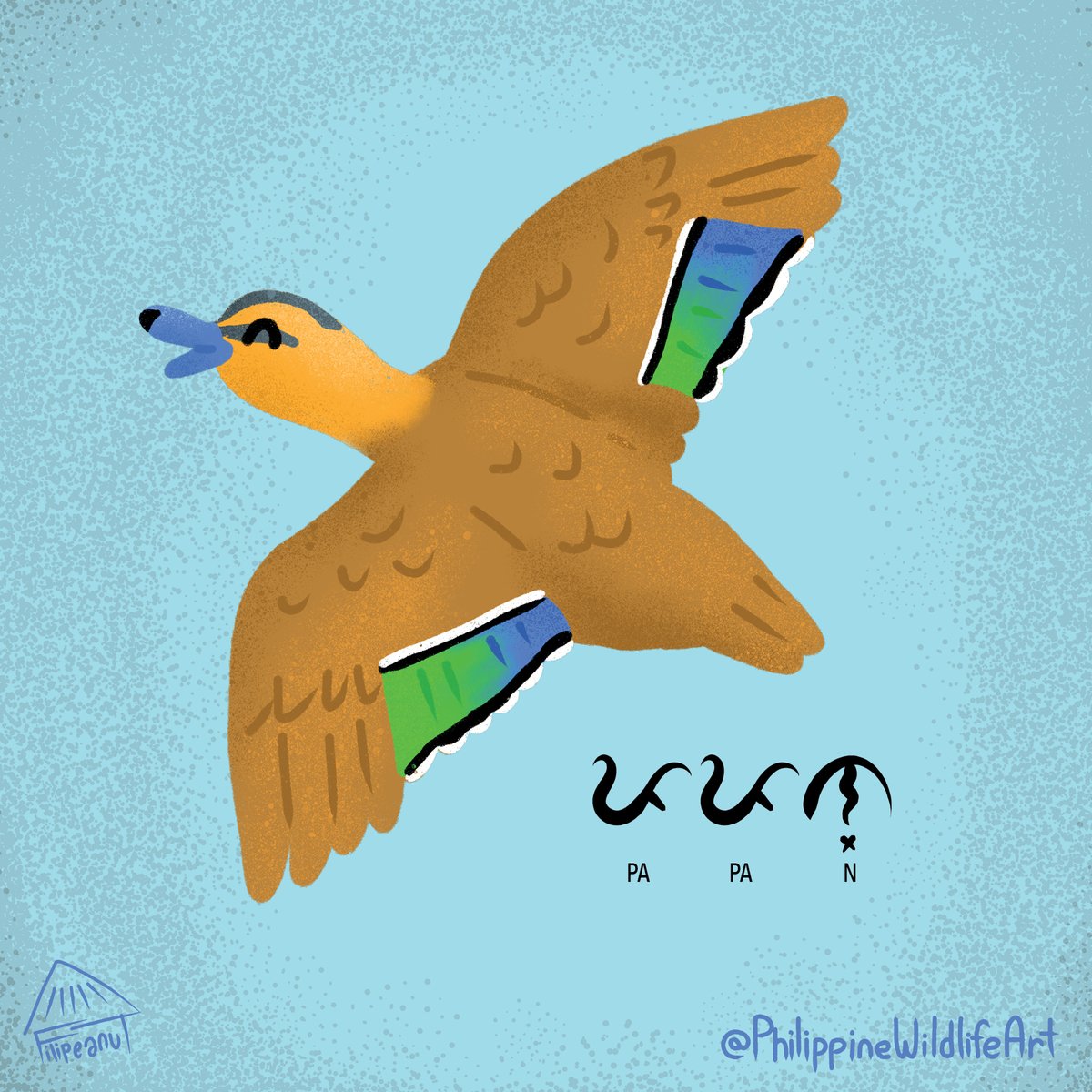 Meet Papan! This is our own Philippine Duck, which can only be found in our country. Thousands of them are counted every year during the #AsianWaterbirdCensus, but they are listed as Vulnerable in the @IUCNRedList Artprint: society6.com/product/philip…