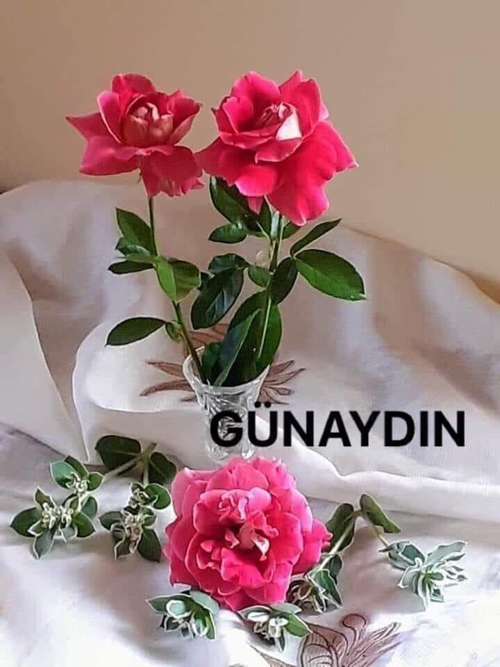 ErdoZombi's tweet photo. 💗✵Gunaydin 🕊💕💦
☕ MutLu HaftasonLari ☘️🌼🥳 https://t.co/MraIqoWkn0