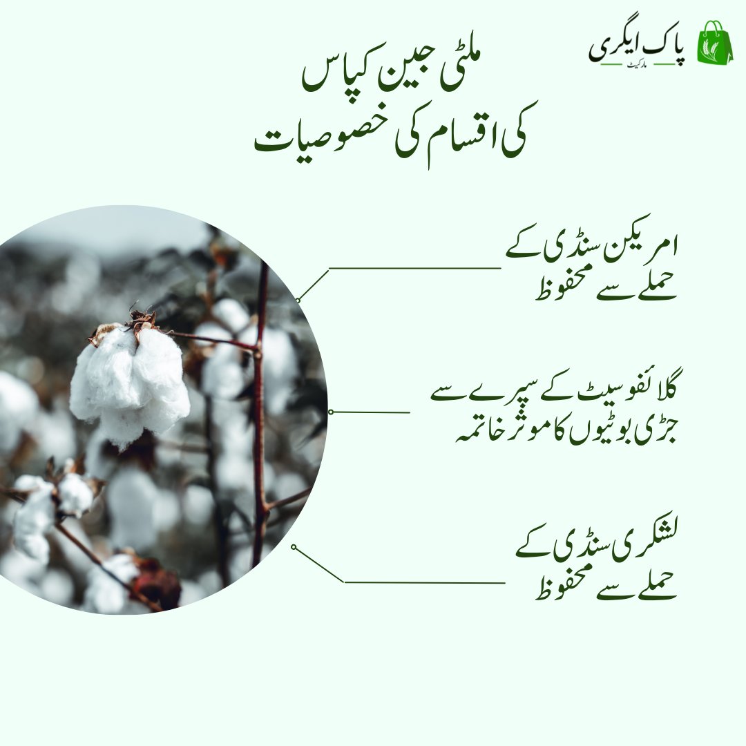 pakagrimarket's tweet photo. Did you know the three exclusive features of Trip gene technology?
#agritech #pakagritech #pakagrimarket https://t.co/A1KProaPEB