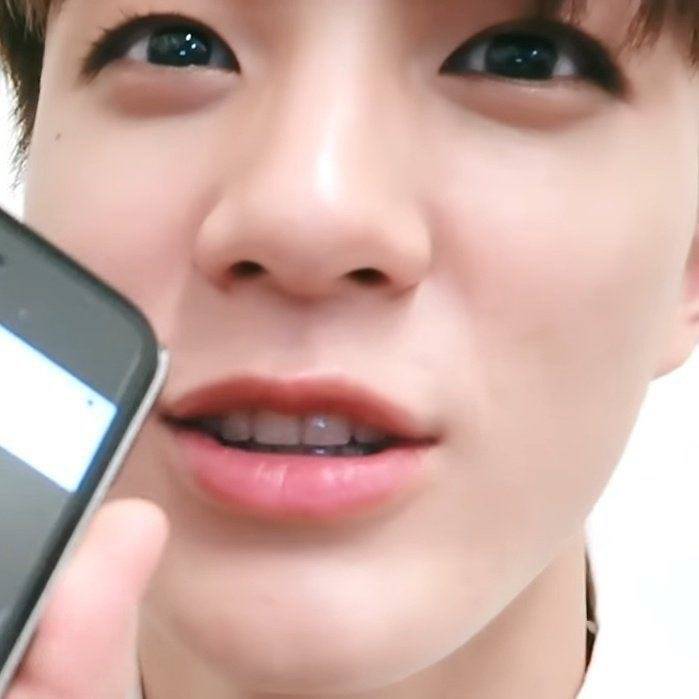 daily jeno dog tweet media