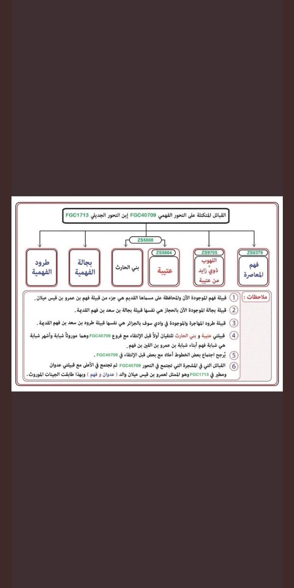 forgedexecution's tweet photo. @br8awi21 @Ald_biro @nnbbasg @rie511_ @MMO3210 @ali_almorqi غير صحيح أخي الكريم لأن قبيلة عتيبه الكريمة أصلها الحقيقي من قبائل فهم القيسية وليست من هوازن وفحوصات الحمض النووي أثبتت ذلك كذلك قال حمد الجاسر أنه لا يمكن الجزم بأن بني سعد الموجودين حاليا في الطائف بأنهم بني سعد قوم حليمه السعدية وهذا الذي أثبته فحوصات DNA https://t.co/shwvl9rgFy