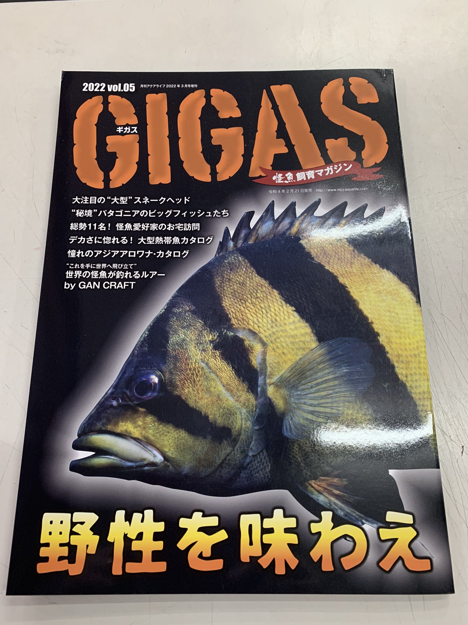 フレンド 熱帯魚 海水魚 Friendmama Twitter