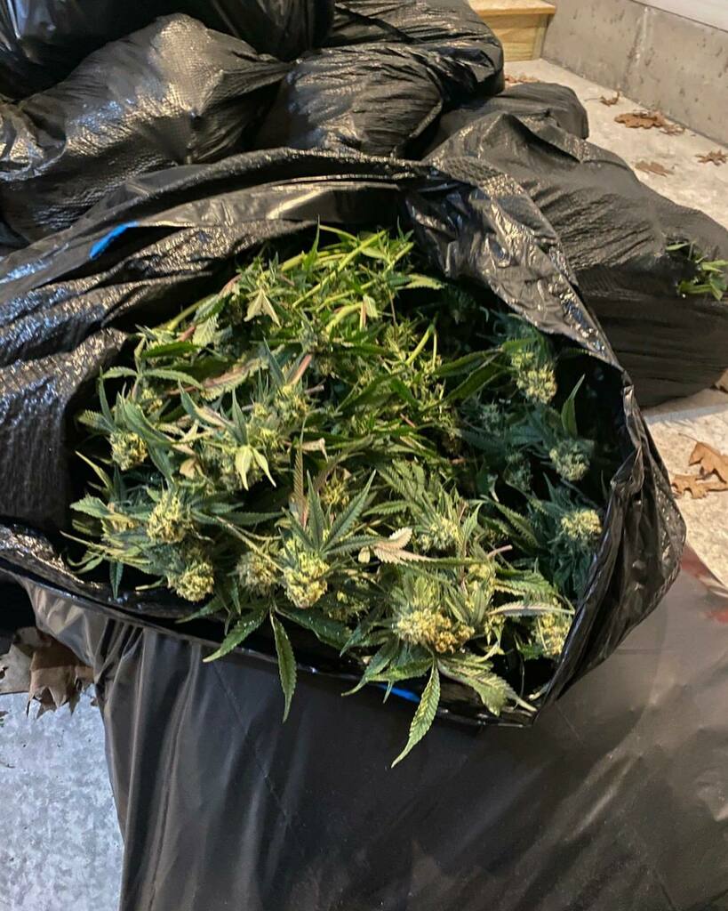 Thursday, 2/17/2022, the Holyoke Police Department's Narcotic Investigation Bureau in conjunction with the DEA executed an investigation of 107 Cross Road. Due to intelligence gathered a search warrant was applied for and granted. Holyoke Officers along … instagr.am/p/CaI-O2LLDNm/