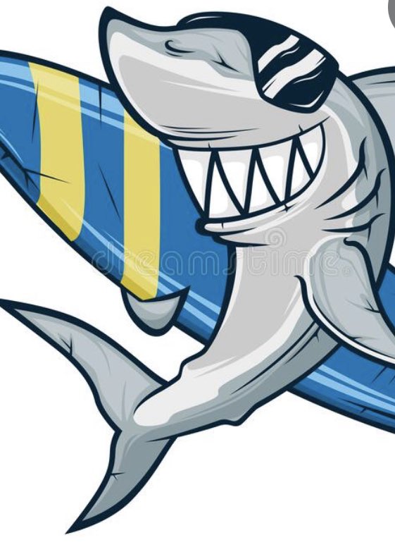 JFKtheShark's tweet photo. @TenhaTV I can’t get hurt by comments because I can’t read https://t.co/t2jqB0y346