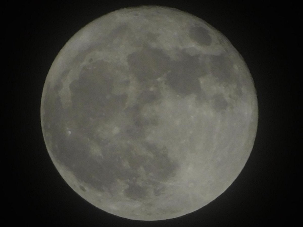 Archillect (@archillect) on Twitter photo 