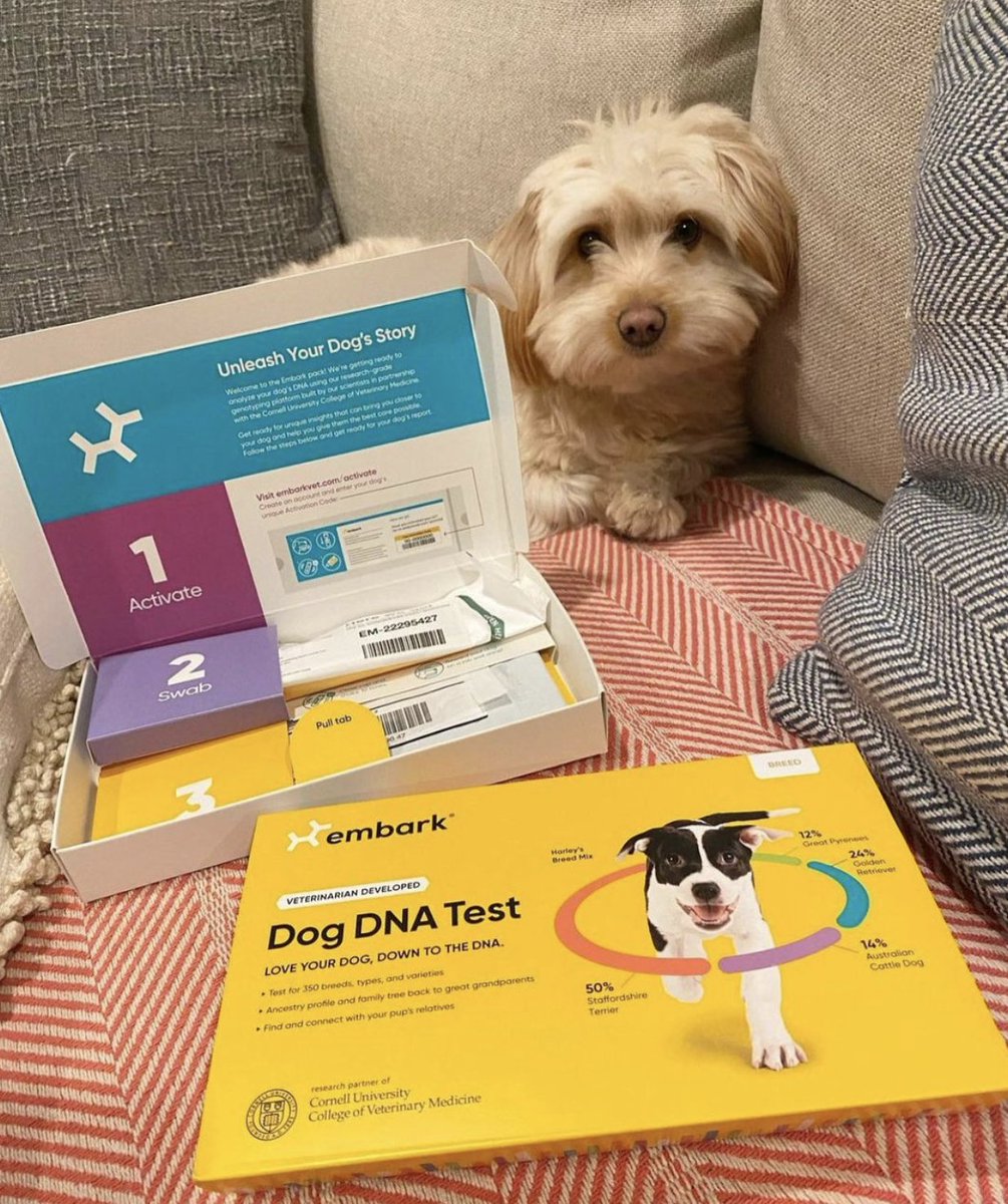 embarkvet's tweet photo. Uncover the mystery of your dog with an Embark Dog DNA Test ๐งฌ ๐https://t.co/3cjQz6UnhR
#EmbarkVet #EmbarkDecoded https://t.co/Txx83moH1h