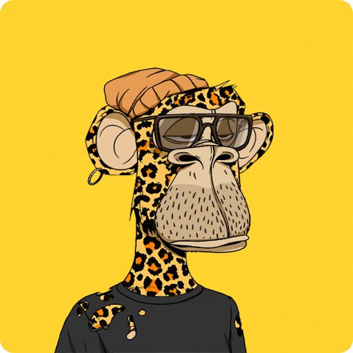 Joseph Veteri tweet media