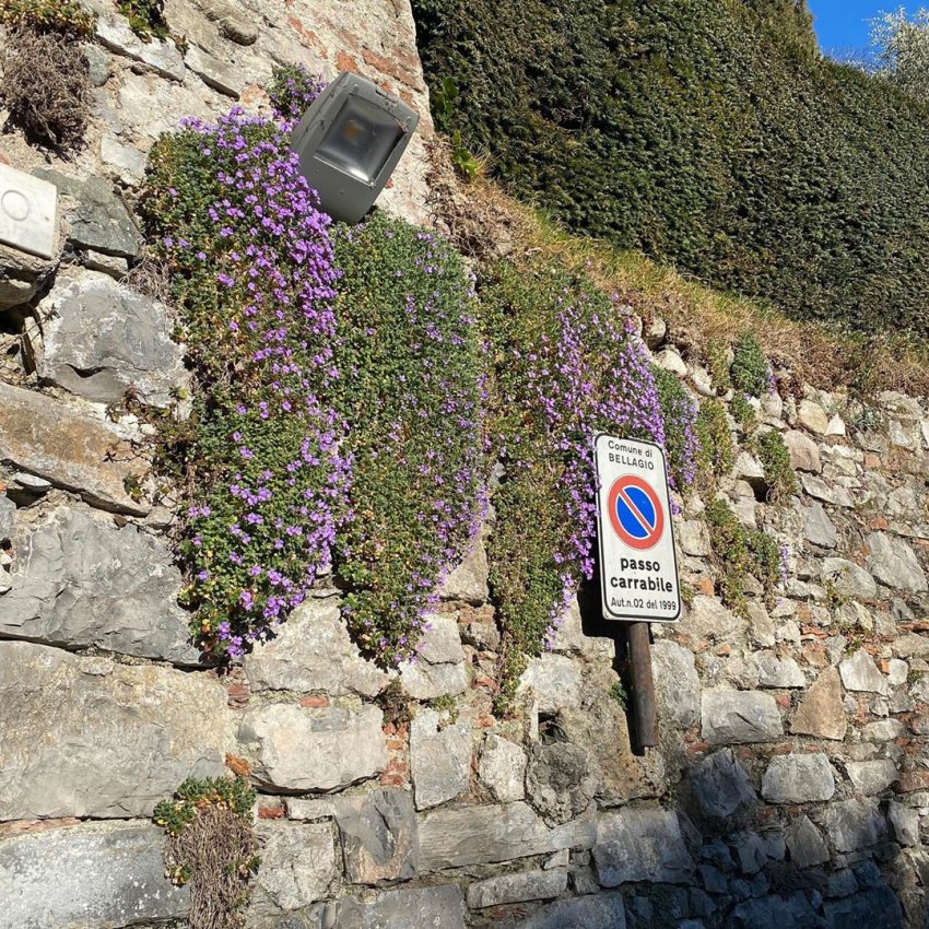 today_hmh's tweet image. 200219 옵티황2

#황민현 #Hwangminhyun #오늘의황민현