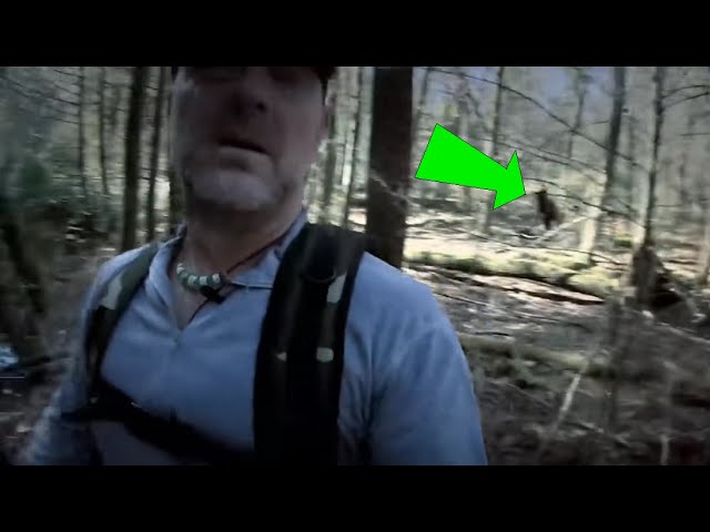 Something seemingly large, dark and fast was spotted in an episode of Survivorman, moving back behind Les Stroud as he panned his camera. It's been the topic of a good deal of discussion, and now needs to be settled. thinkerthunker.com/2022/02/18/sur… via @ThinkerThunker