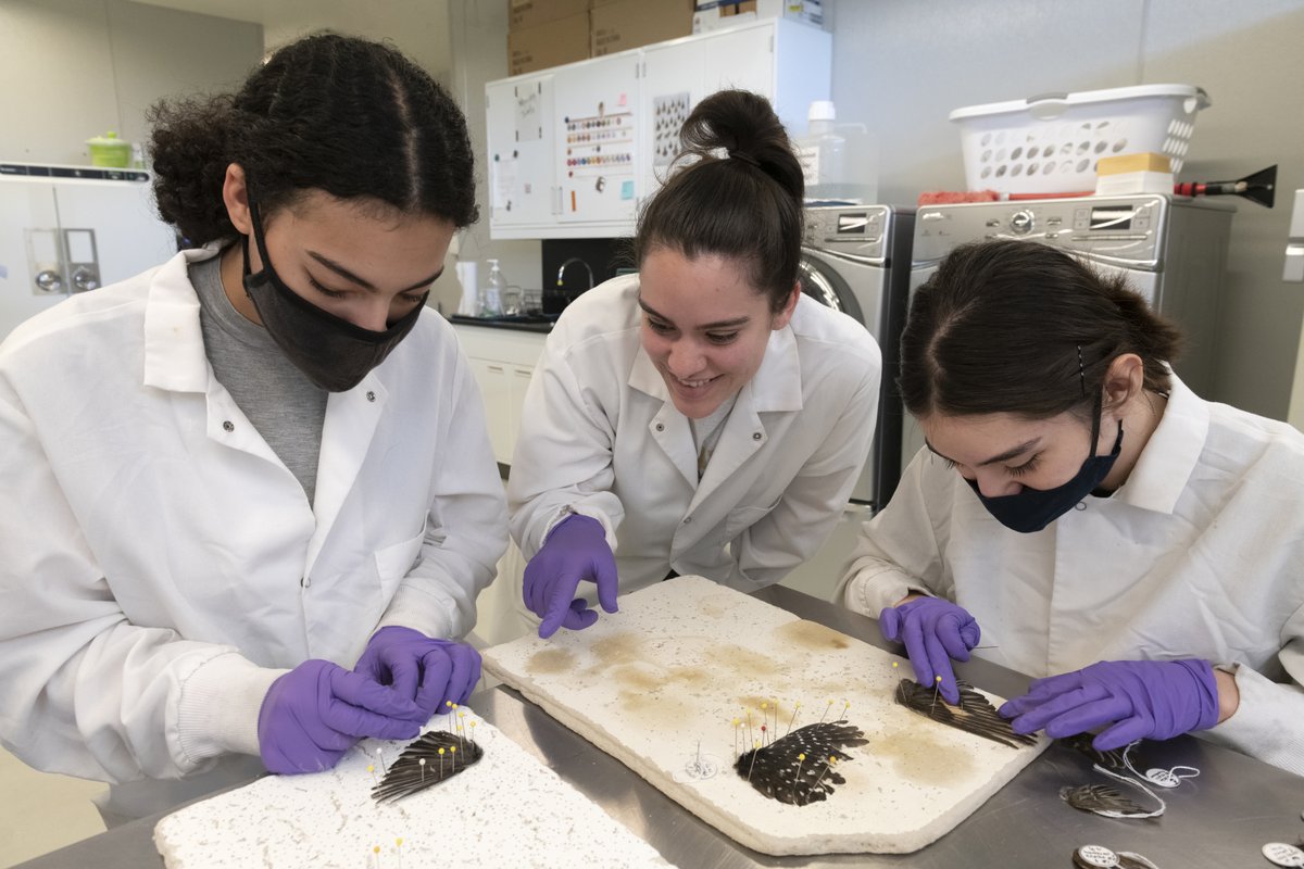 Applications are now open for Teen Science Scholars! Don’t put your nerdiness away for the summer, instead learn how to conserve precious artifacts, conduct geology research, or analyze a portion of the paleobotanical collection - all with Museum experts. bit.ly/3HT2uds