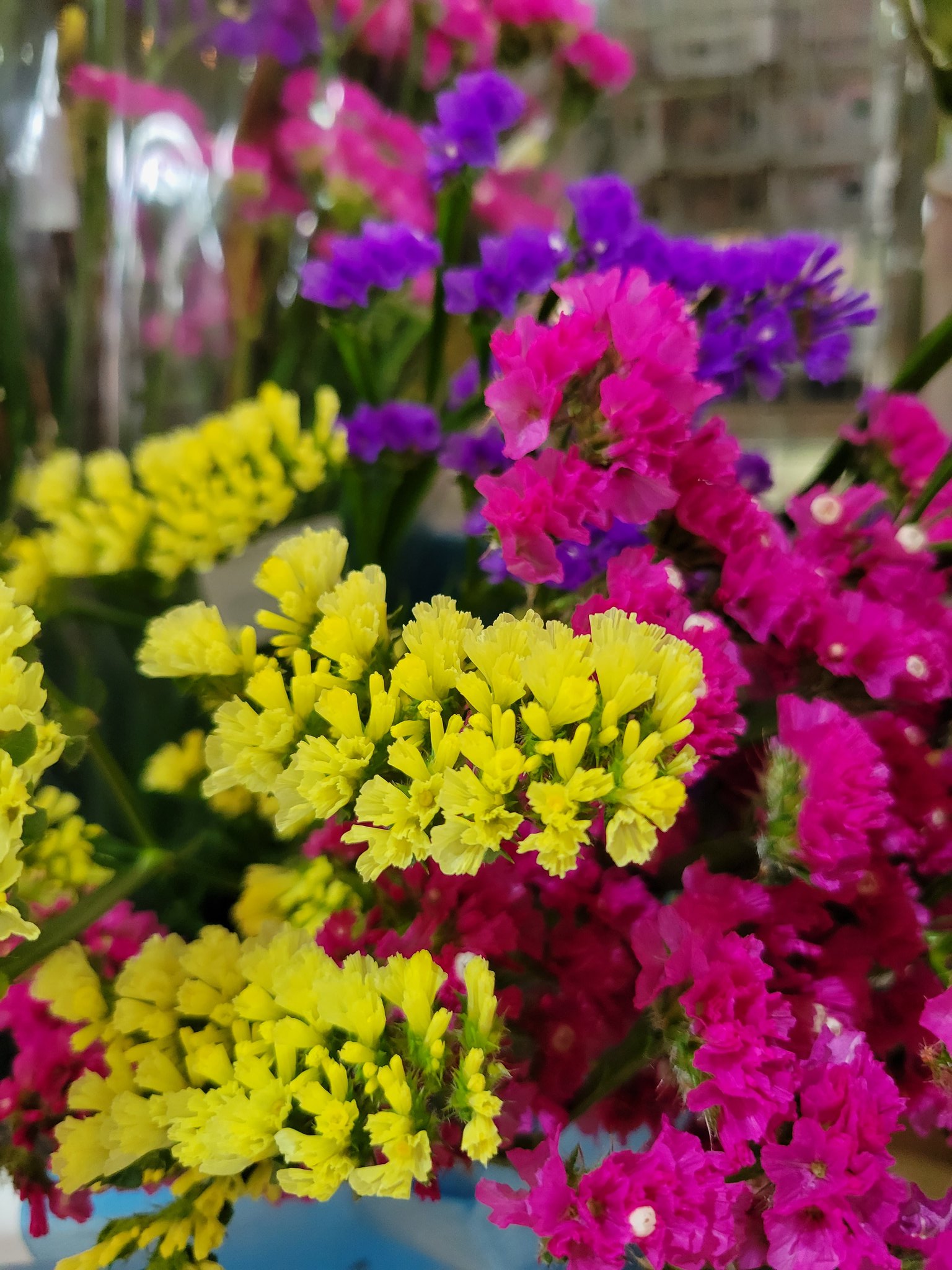 טוויטר 道の駅 三芳村 鄙の里 בטוויטר スターチスも金魚草も素敵な色だね 元気がでる そういえば 金魚草の花言葉 おしゃべり でしゃばり おせっかい 今の時代に必要なことかも その場を明るくしてくれる T Co Cxhnwow6tj טוויטר 道の駅 三芳村 鄙の里 בטוויטר スターチスも金魚草も素敵な色だね 元気がでる そういえば 金魚草の花言葉 おしゃべり でしゃばり おせっかい 今の時代に必要なことかも その場を明るくしてくれる T Co Cxhnwow6tj