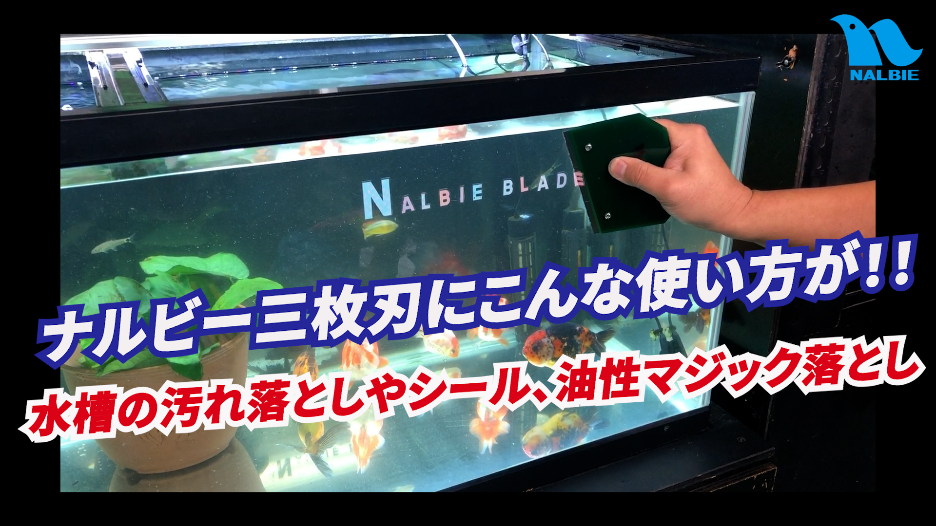 Tweets With Replies By 株式会社ナルビー Nalbie Blade Corporation Nalbieblade Twitter