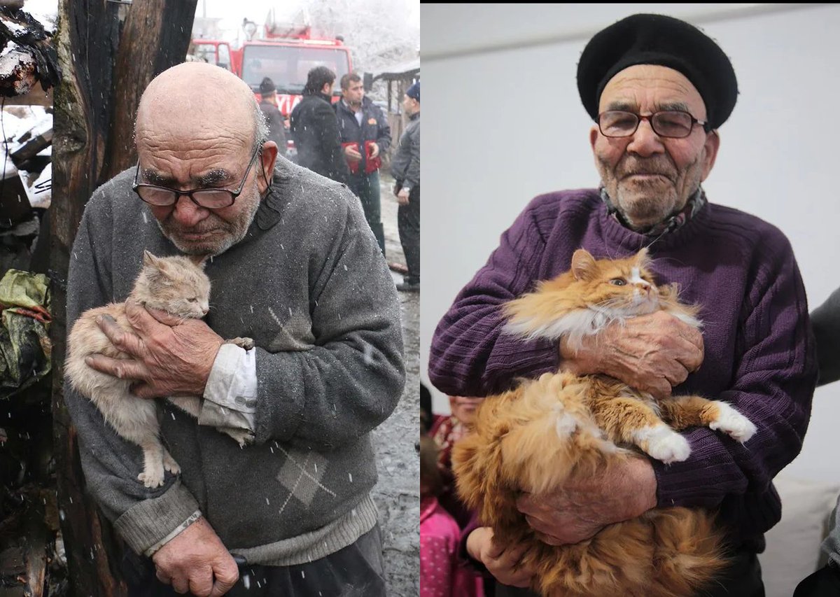 WholesomeMeme's tweet photo. Do you remember these two rescued from a fire? Here they are now. My heart... https://t.co/K0wGcIfrme