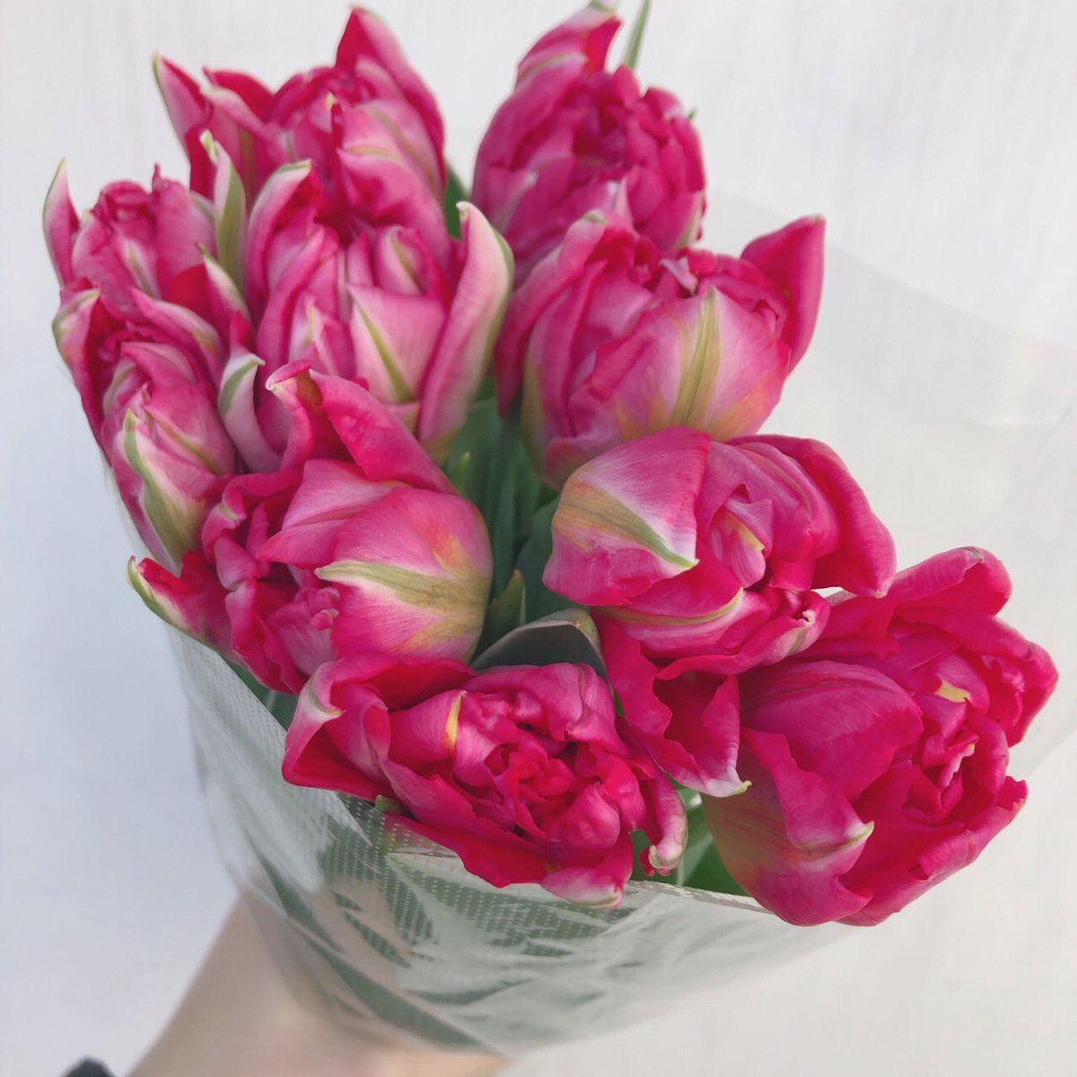 littleseed__'s tweet photo. Flower　Buffet　

1本110yen (税込)
10本880yen (税込)にて
お花を販売するイベントを開催
#プレゼント
#floristlittleseed
#つつじヶ丘
#京王線
#調布
#花のある暮らし
#フラワービュッフェ
#flowerbuffet
#instagood
#instaflower https://t.co/qzXgylsL8y