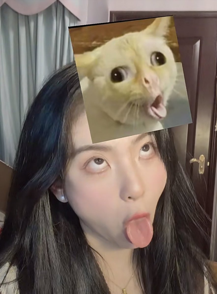 Slideshow 阿 黑 颜.