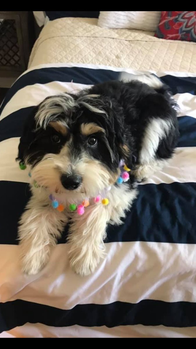 laura bleill 🟧 tweet media