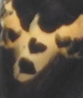 christy bharath tweet media