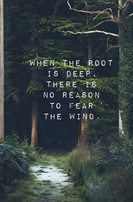 TheEarthBuddy's tweet photo. @SadhguruJV Let's make it happen. 

#SaveSoil https://t.co/gX0u1joJ2G