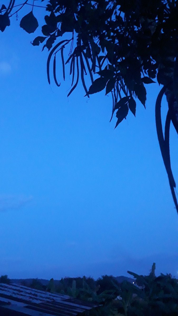 sleepNightmare's tweet photo. It's so cool ✨ (i like blue/sky) https://t.co/cD5ksI8AR3
