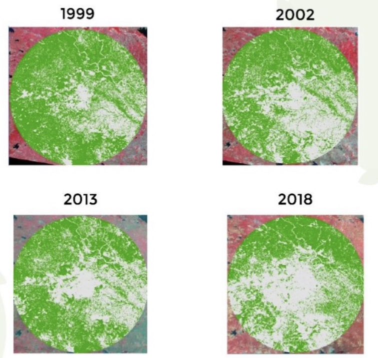 kunalmourya01's tweet photo. #2 Total Trees cut will be over 40000+.huge loss of green cover.
Regional remote sensing center reveals that between 1999-2018 the #nagpur green cover decreased by almost 30% https://t.co/qJVOZPEsZs