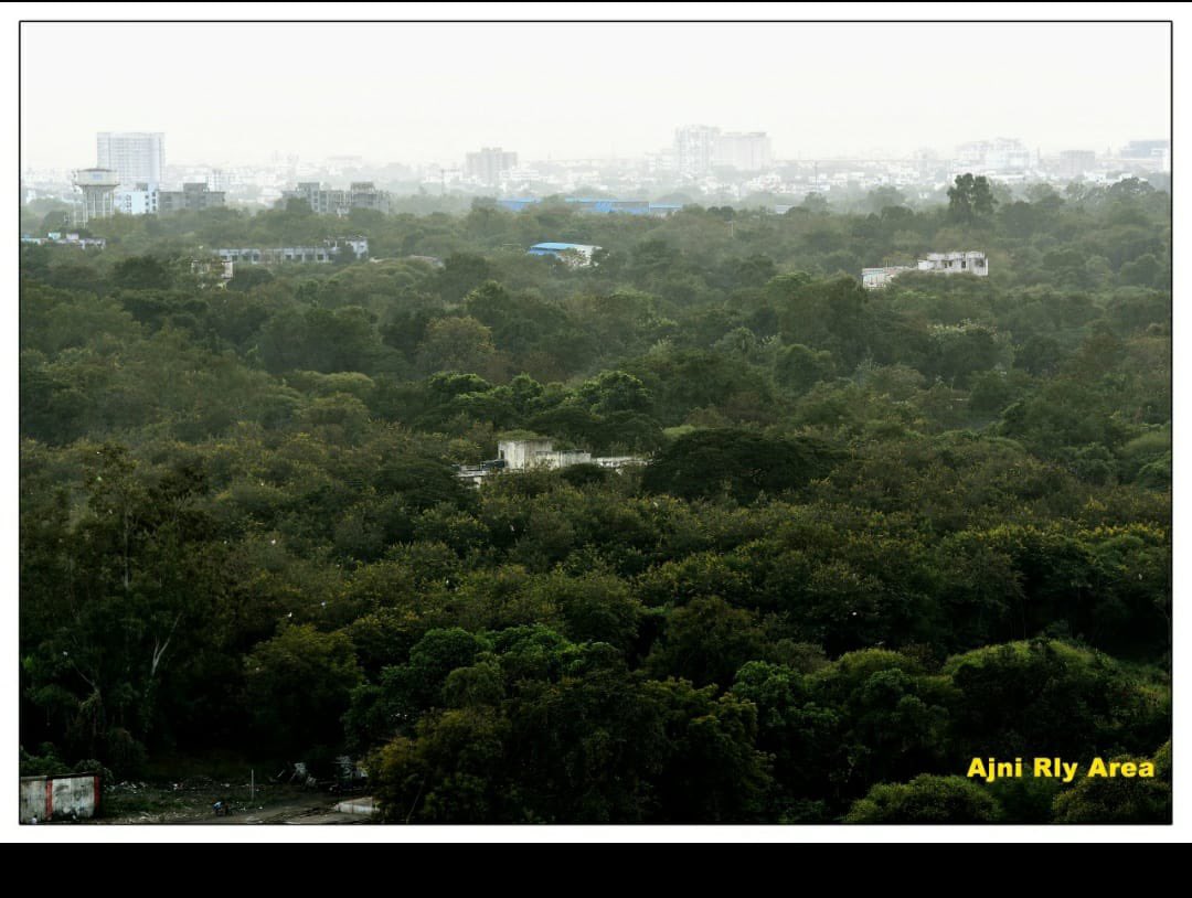 kunalmourya01's tweet photo. #3 If #Nagpur loses this green cover will cause rise in temperature affecting the microclimate and 56 species of #Trees and 100+ birds species will be lost https://t.co/jreVxFJRyx