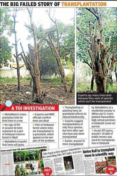 kunalmourya01's tweet photo. #4 Trees translocation is not a success in #Nagpur. A huge amount of tax payer money is wasted with negligence of translocation survival rate https://t.co/cIGO0LL3EJ