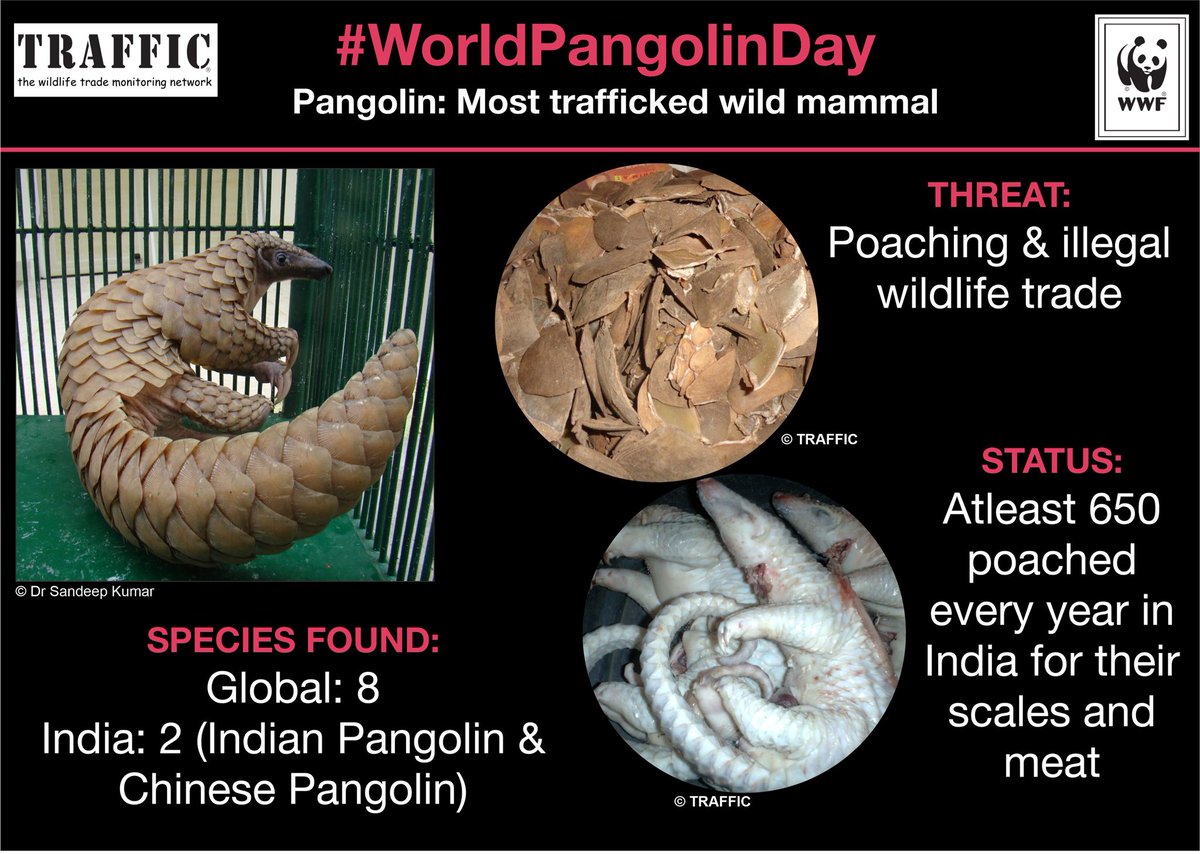 Saket_Badola's tweet photo. Some more info. https://t.co/1J6rB2aSC8