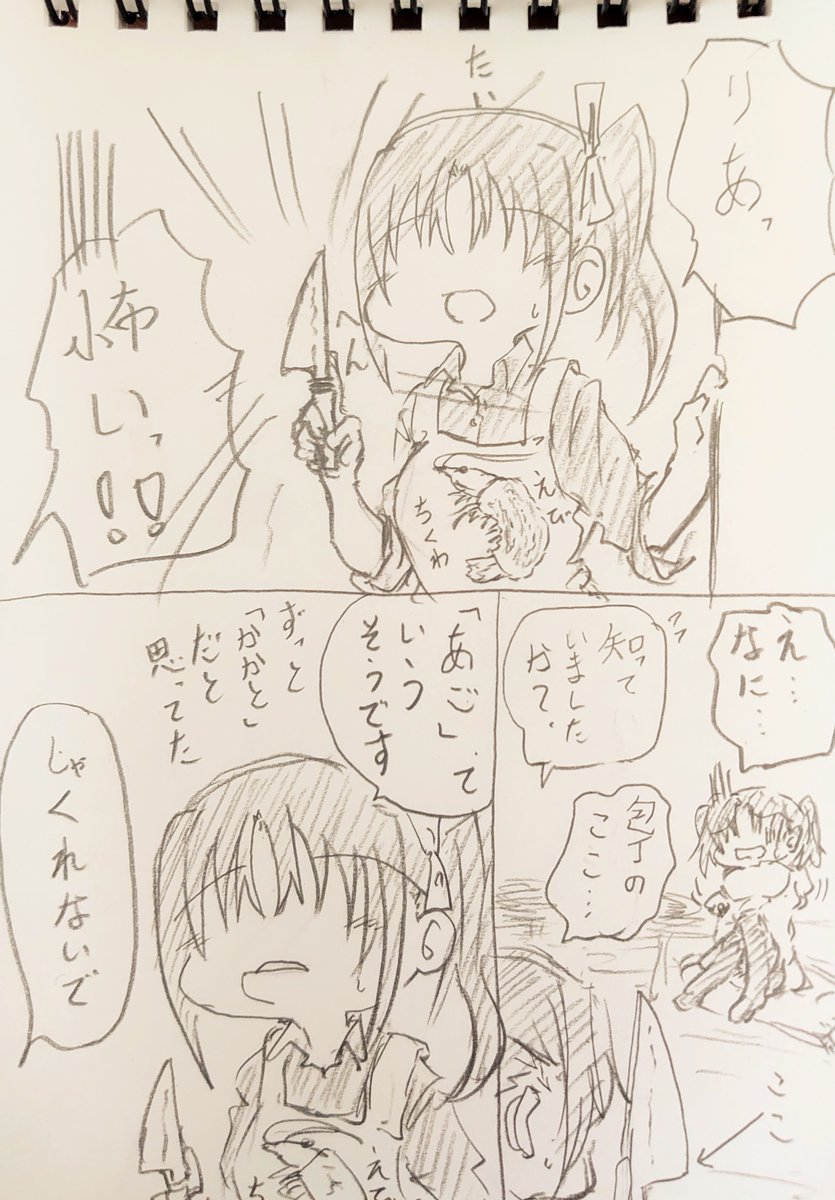 真実を知った姉。 