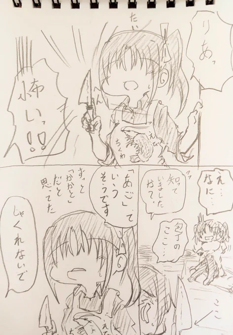 真実を知った姉。 