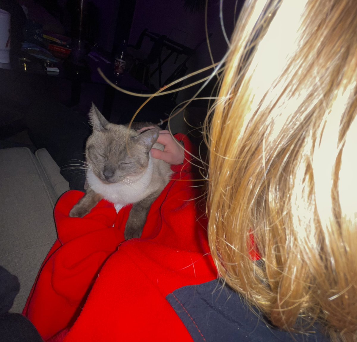 kyquizzle's tweet image. kitty &amp;amp; cole