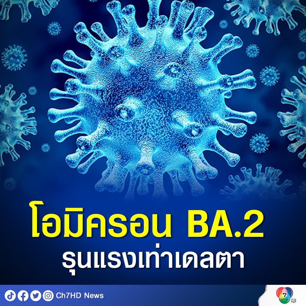 กลายพันธุ์เก่งมากอีเวร!!