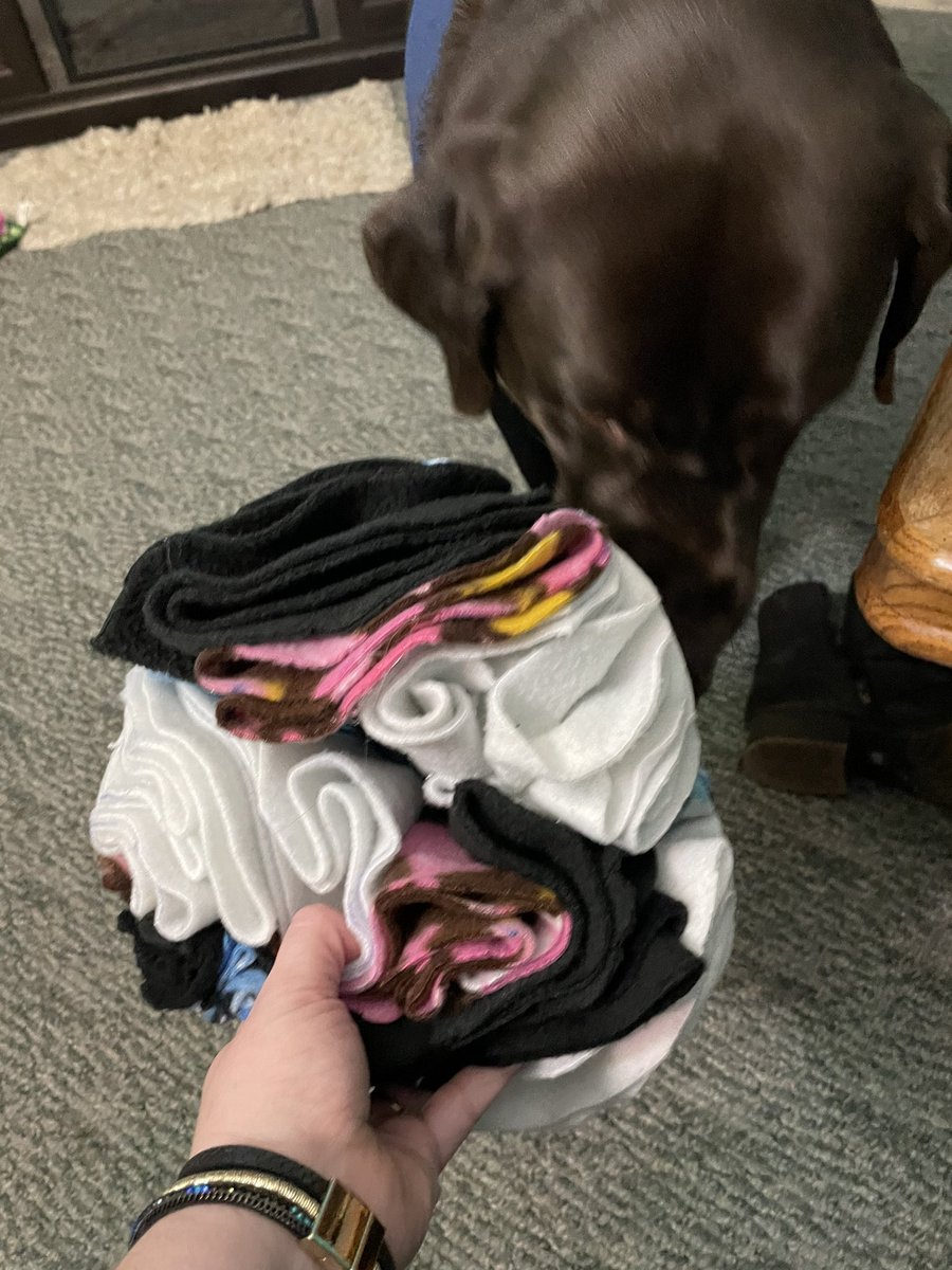 mochaladocha's tweet photo. OMD! Mom and Grandmaw took fleece scraps and made me this giant new #snuffleball! #snuffletime #diy https://t.co/BcjQy9wNsq