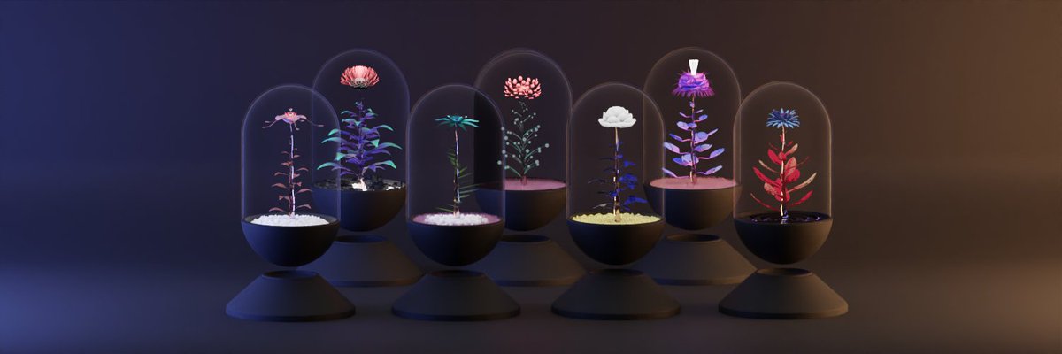 🔥New NFT project Build on <a href="/OasisEcosystem/">Oasis Ecosystem</a> 

A little #NFT seed growing silently on #Oasisnetwork 
For🌹 $ROSE and #Oasiscommunity.

<a href="/OasisFlowersNFT/">Eternal Flowers</a>

#OasisNetwork #OasisNfts #NewOasisnft