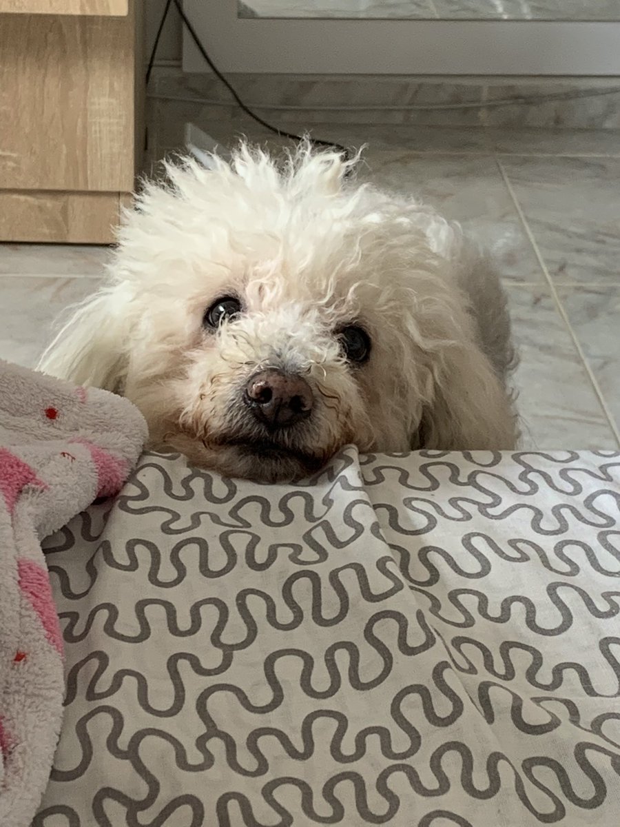 No supero tu ausencia