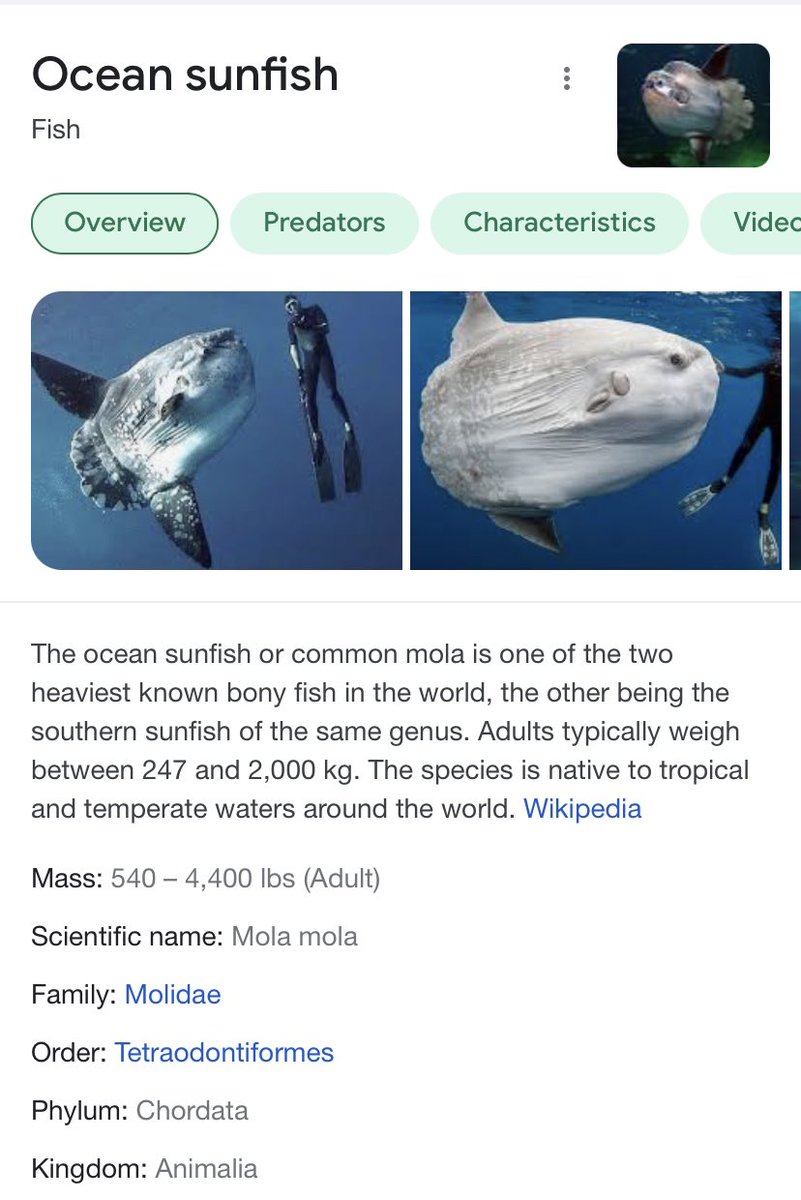 Annika Salzberg tweet media