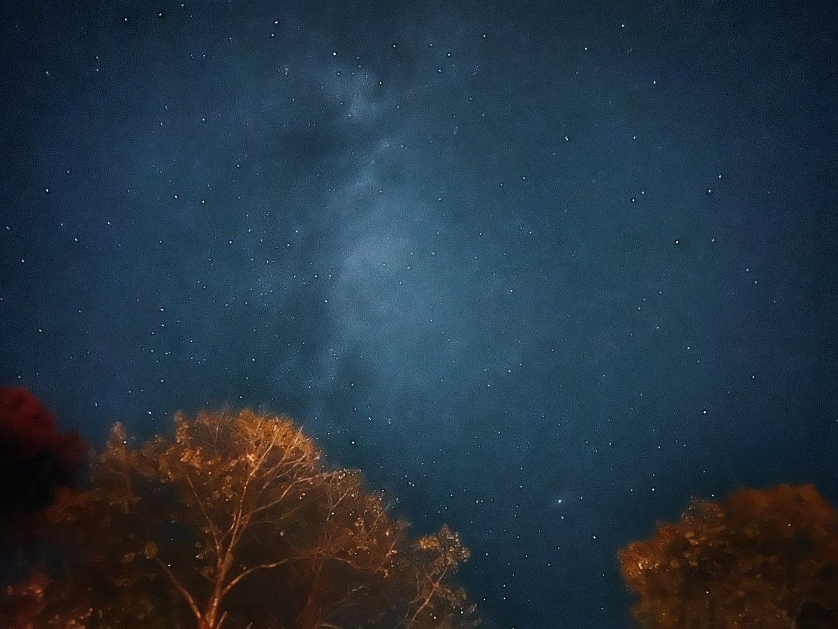 steph_larsen's tweet photo. @svensundgaard Amazing camera for a phone. Taken last fall from my back yard. https://t.co/kQO3syairH