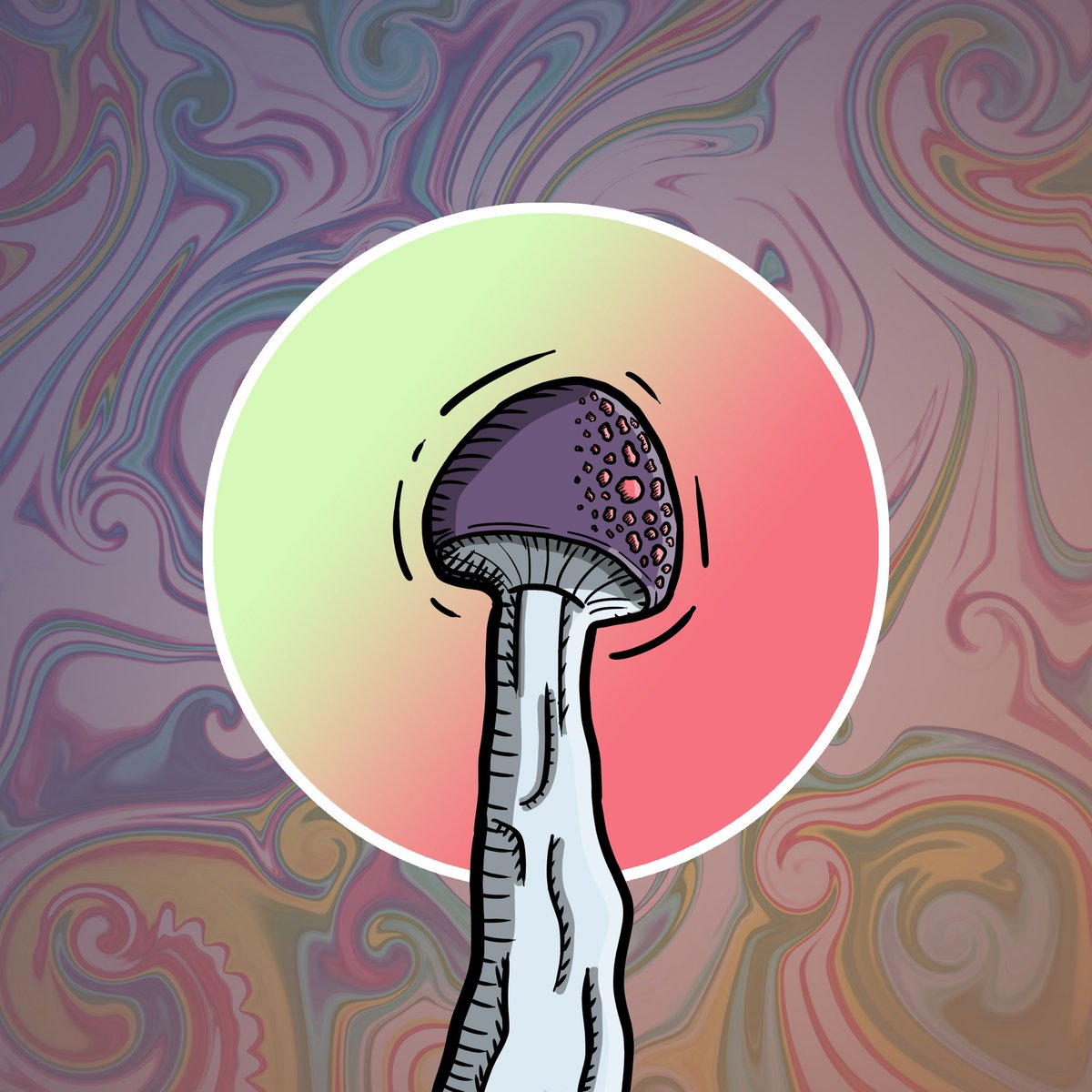 ShroodlesNFT's tweet photo. Evening #NFTCommunity ❤❤

What are you guys making? ❤

Go check out my Shroodles I dropped today ❤ only 4 left @ 0.002 eth! 

#nft #nfts #evening #warming https://t.co/hIGzN3Rkx0