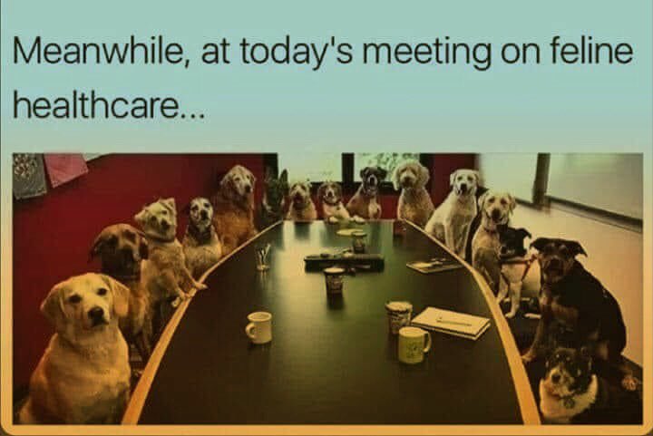 <a href="/CIAspygirl/">🌻 Emily Brandwin 🌻</a> It's not his "Advice for Young People"...

It's his demands for women.