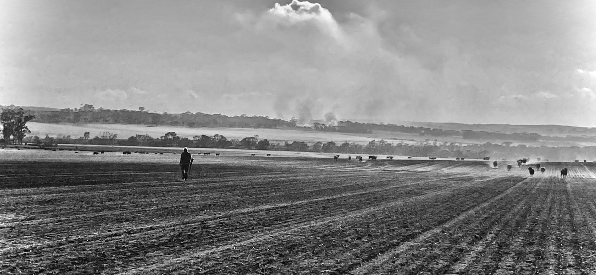From the Narrogin Fire last week. Truely heartbreaking seeing the devastation, but also beautiful how the community came together and helped those effected.