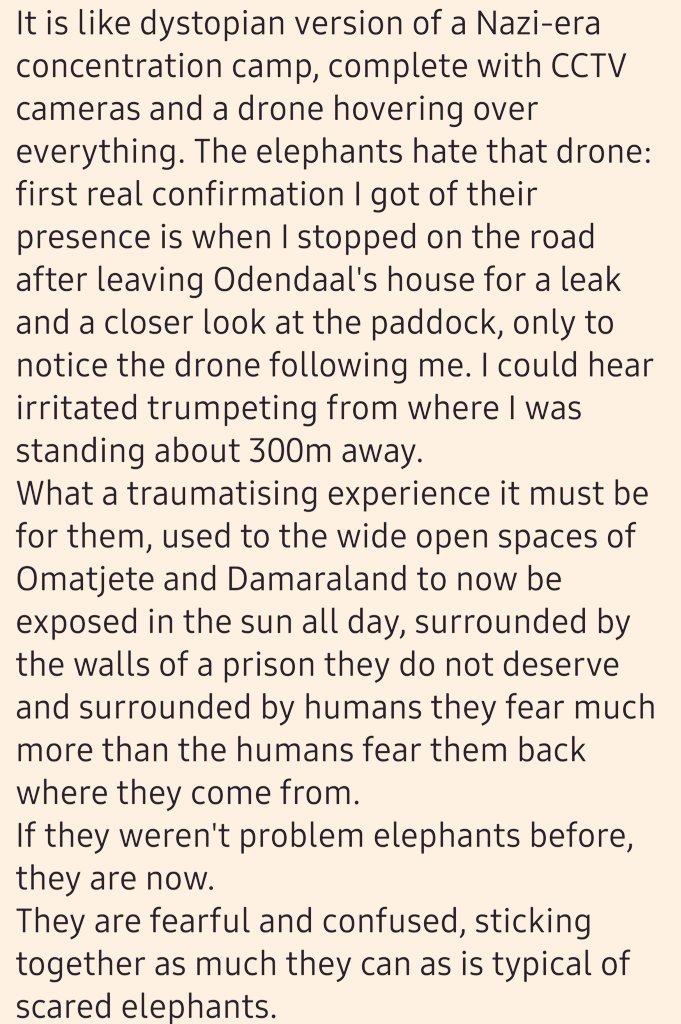 CitysFElephants's tweet photo. #NamibiaDontSellYourElephants🇳🇦
John Grobler @JohnGrblr reprts on his Farm visit from last Saturday, where 22 captured elephants are waiting of the export abroad.

#NamibiaDontSellYourHeritage
#Namibia #ElephantRot
#Elephants #auction 
#DubioseDeal #MEFT #CITES #drone https://t.co/KG6c5oVmEx