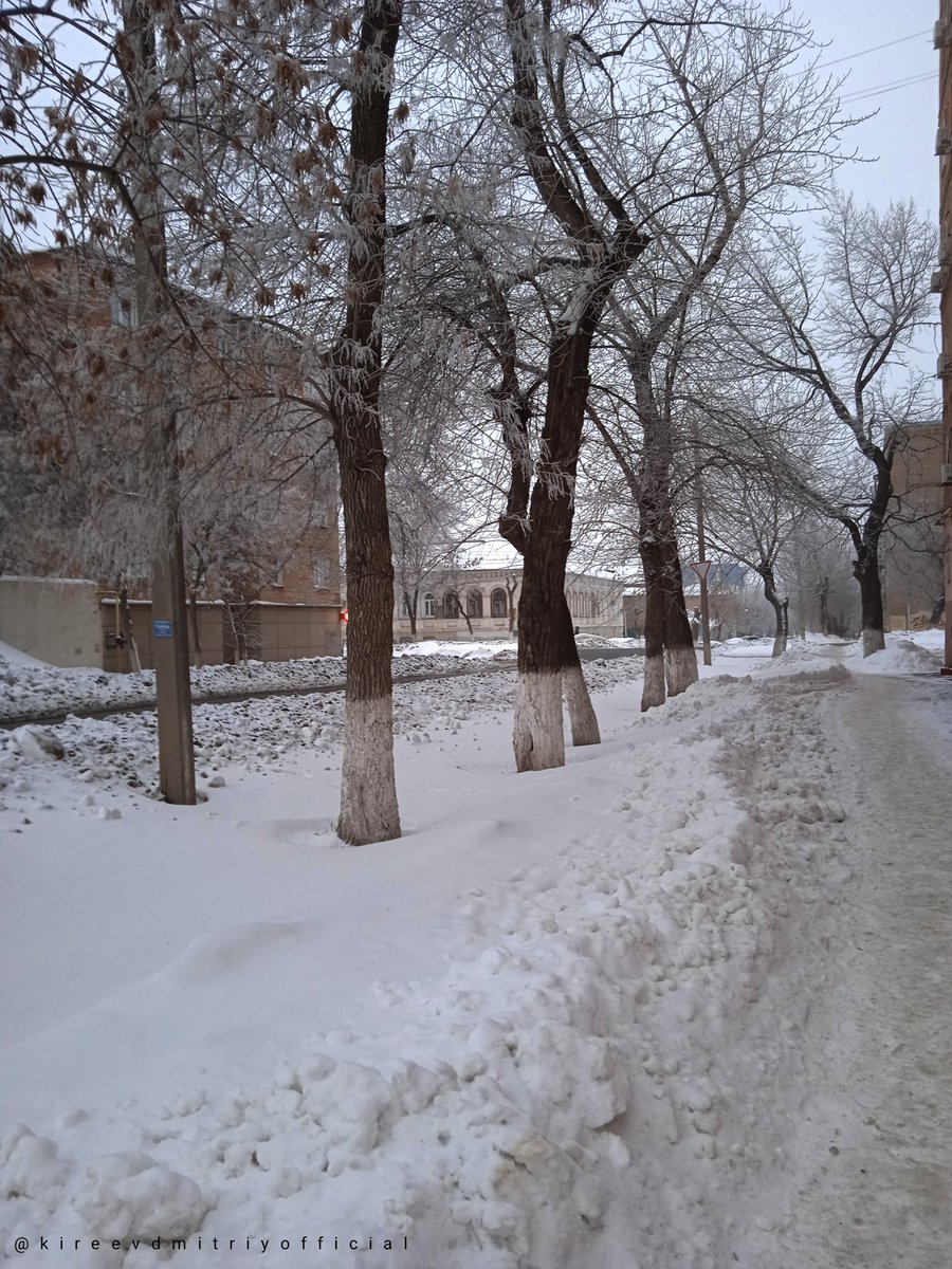 Kireev Dmitriy (@kireevofficial) on Twitter photo 