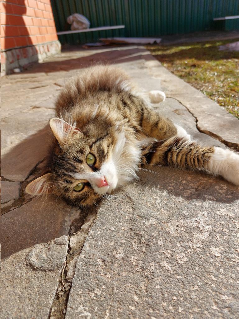 ещё один лучик солнышка