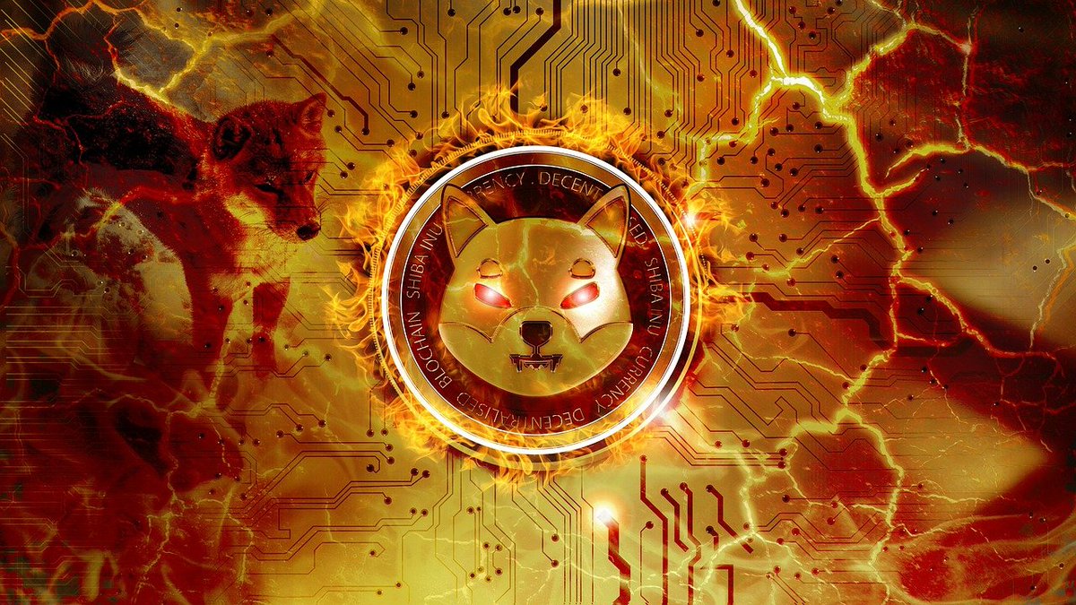 Digital coin expert tweet media