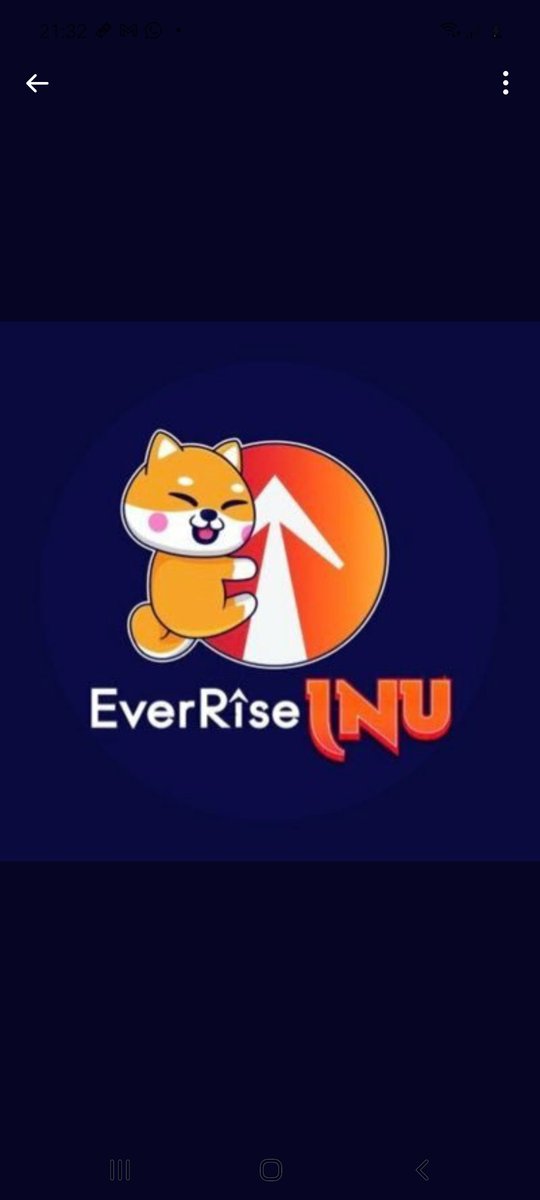 cansuerdnne's tweet image. #EverRise 
#LetsUsIn 
FUTURES OF DEFİ ♡