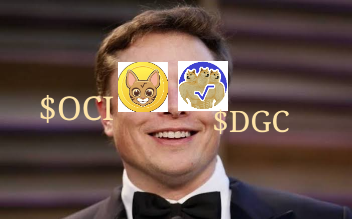 UDr4p's tweet photo. Wow, i saw 2 newcomers about to explode on planet $XRD

@ociswap  @Doge3_cerby 
 #DOGEmeetsOCI #Radix  @ShibainuCoin @Radix_Inu https://t.co/GJJrjGNcRd