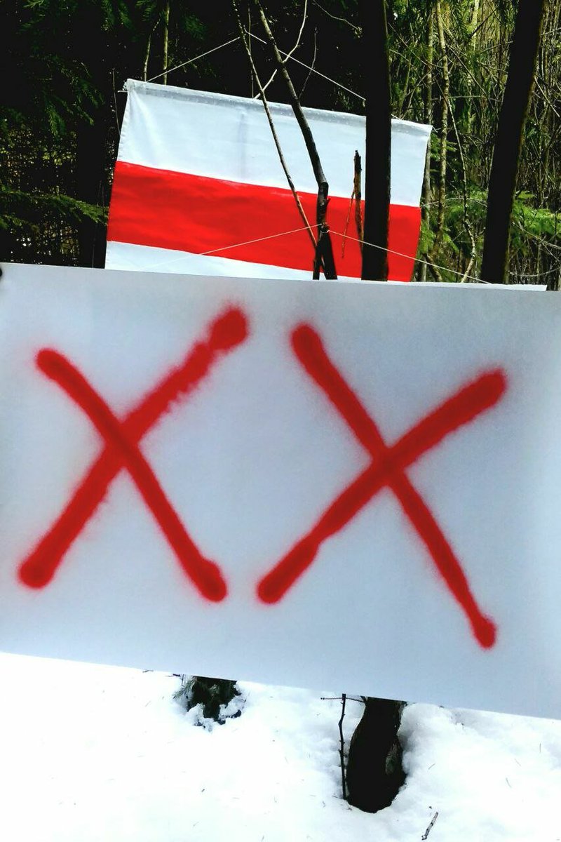 Sveta36343550's tweet photo. Worthy and brave Belarusians are preparing to cancel ❌❌ the illegal and deceitful referendum!!! Action is always better than inaction!!! ❤️✊✌️ #StandWithBelarus #FreeAllPoliticalPrisoners #FreeBelarus #Belarus2022 #Belaruspartisan https://t.co/nHuLAhSFxV